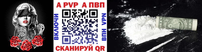 APVP СК Шагонар
