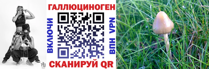 Псилоцибиновые грибы GOLDEN TEACHER  Шагонар 
